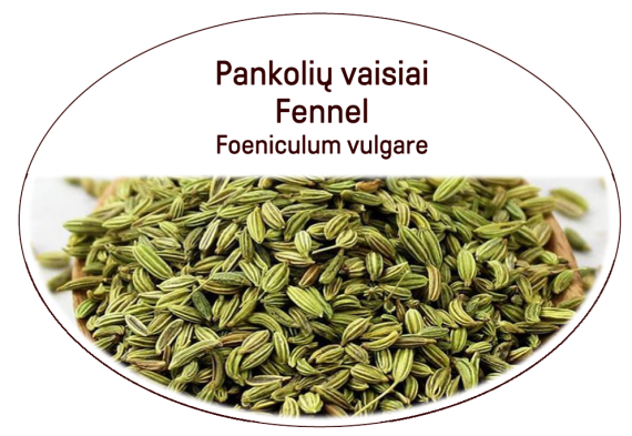 Fennel seeds (Foeniculum vulgare)