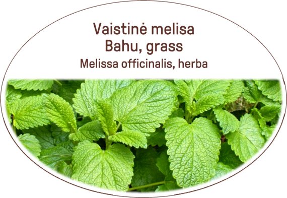 Bahu, grass / Melissa officinalis, herba