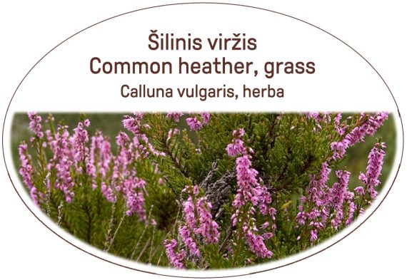 Common heather, grass / Calluna vulgaris, herba