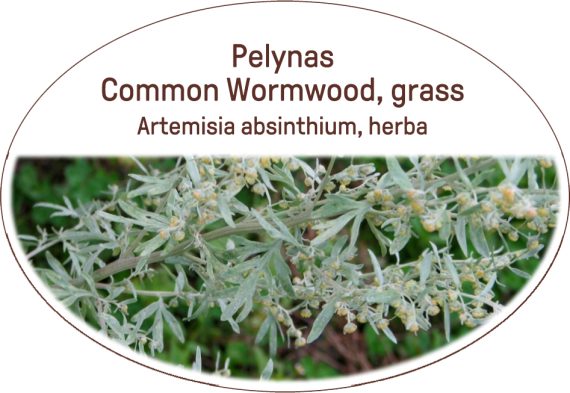 Common wormwood, grass / Artemisia absinthium, herba