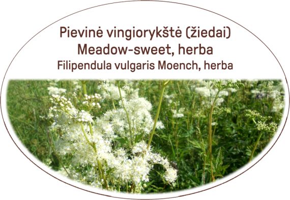 Meadow-sweet, herb / Filipendula vulgaris Moench, herba