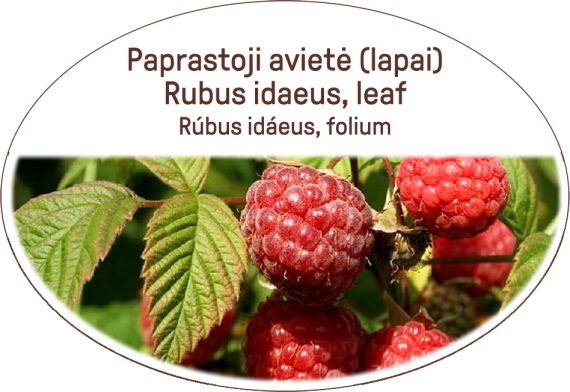 Rubus idaeus, leaf / Rubus idaeus, folium