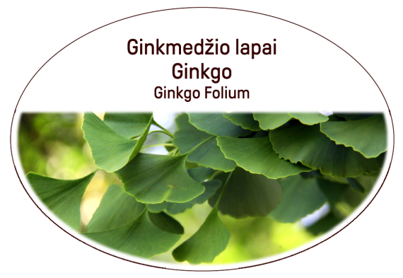 Ginkgo, Ginkgo Folium herb