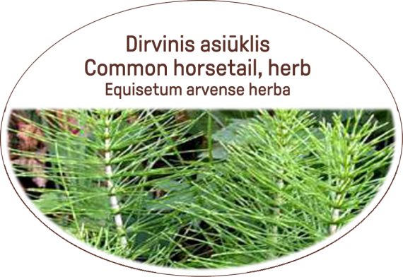 Common horsetail, herb / Equisetum arvense, herba